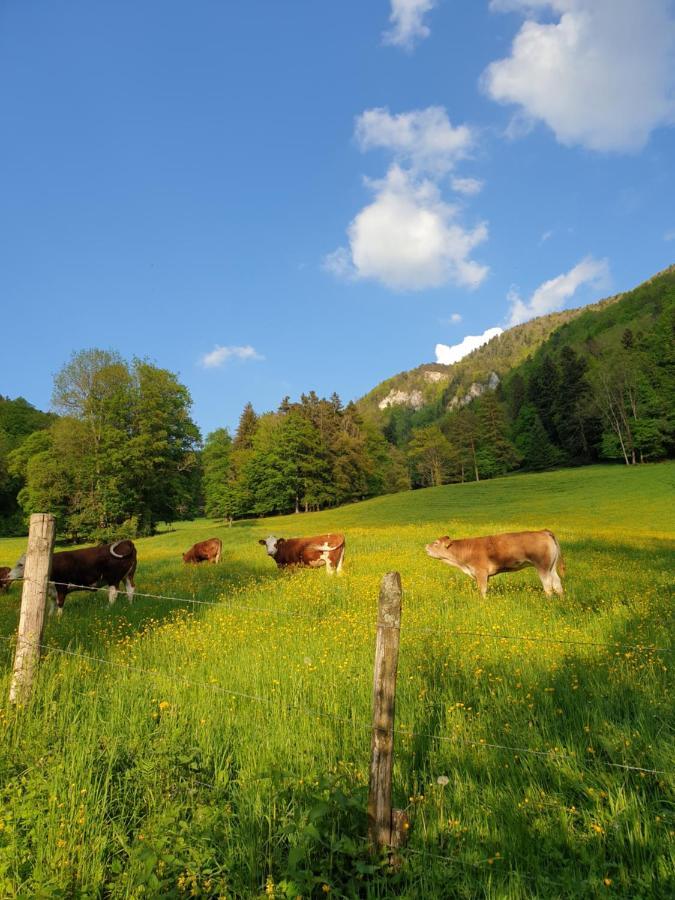 Agreable Chambre D'Hotes, Au Calme, Dans La Nature Roches Bagian luar foto